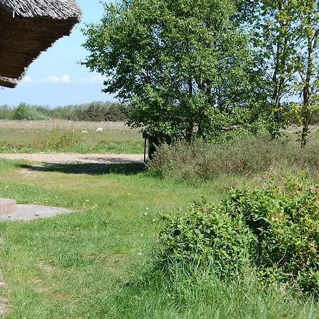 Holiday home Lovely In Romo With Kitchen *